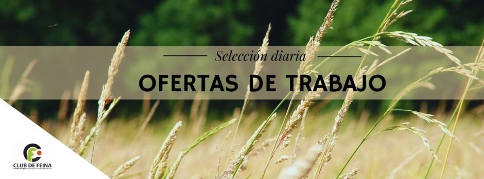 Ofertas de trabajo del viernes, 15 de mayo de 2026 // Ofertes de feina de divendres, 15 de maig de 2026
