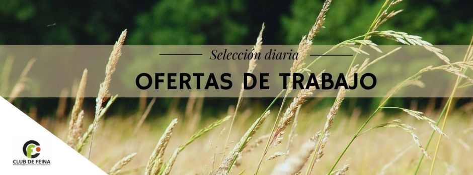 Ofertas de trabajo del jueves, 8 de mayo de 2025 // Ofertes de feina de dijous, 8 de maig de 2025